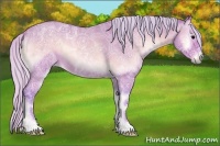 Horse Color:Watercolor Silver Bay Ice Roan Onyx