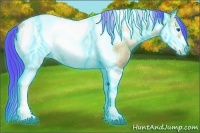 Horse Color:Thunderstruck Watercolor Bay Ice Onyx Tobiano Frame 