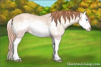 Horse Color:Gold Champagne Ice Roan Onyx Splash Frame Rabicano