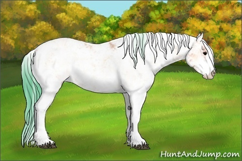 Horse Color:Watercolor Bay Ice Onyx Sabino 