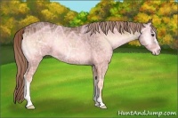 Horse Color:Red Onyx Ice 