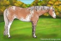 Horse Color:White Spotted Silver Buckskin Ice