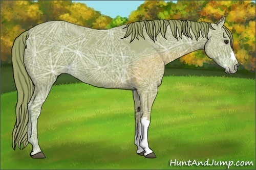 Horse Color:Watercolor Liver Chestnut Ice