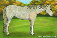 Horse Color:Watercolor Liver Chestnut Ice 
