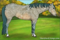 Horse Color:Watercolor Bay Ice 
