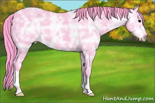 Horse Color:Watercolor Black Ice 