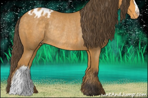 Horse Color:Buckskin Appaloosa Rabicano 