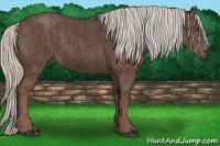 Horse Color:Silver Black  Brindle