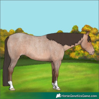 Horse Color:Amber Champagne Roan 