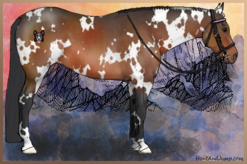 Horse Color:White Spotted Bay 
