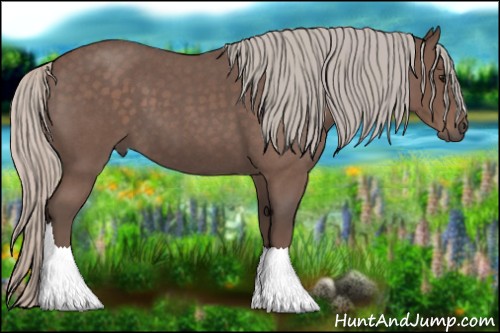 Horse Color:Silver Blue Roan 