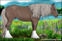 Horse Color:Silver Blue Roan 