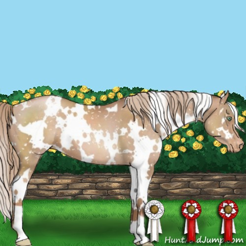 Horse Color:White Spotted Liver Chestnut Pearl Snowflake Varnish