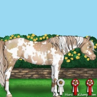 Horse Color:White Spotted Liver Chestnut Pearl Snowflake Varnish