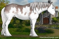Horse Color:Platinum Silver Brown Splash Appaloosa 