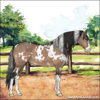 Horse Color:White Spotted Brown Dun Sabino