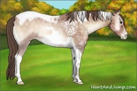 Horse Color:Blue Onyx Ice Pearl Tobiano Frame 