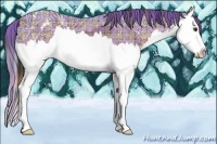 Horse Color:Plaid  Liver Chestnut Ice Sabino Splash Appaloosa 