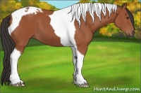 Horse Color:Bay Tobiano 