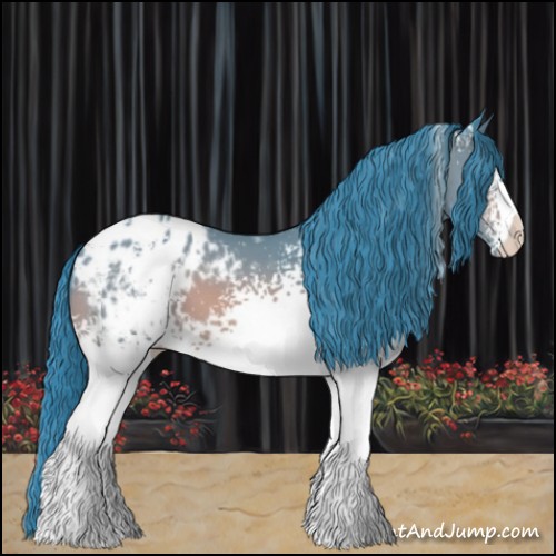 Horse Color:Watercolor White Spotted Bay Appaloosa
