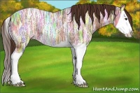 Horse Color:Liver Chestnut Ice Splash 