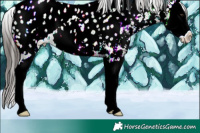 Horse Color:Liver Chestnut Ice Sabino Splash Near Leopard 