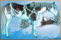 Horse Color:Thunderstruck Liver Chestnut Ice Splash 