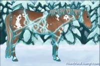 Horse Color:Thunderstruck White Spotted Liver Chestnut Rabicano 