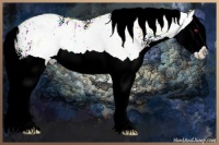 Horse Color:Liver Chestnut Chinchilla Splash 