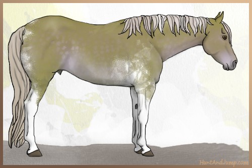 Horse Color:Watercolor Chocolate Palomino Tobiano 