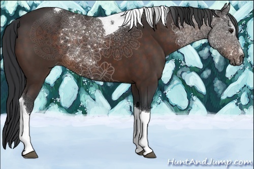 Horse Color:Brown Sabino Tobiano 