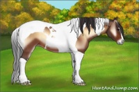 Horse Color:Bay Onyx Tobiano 