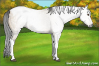 Horse Color:Gray Bay Dun Tobiano 