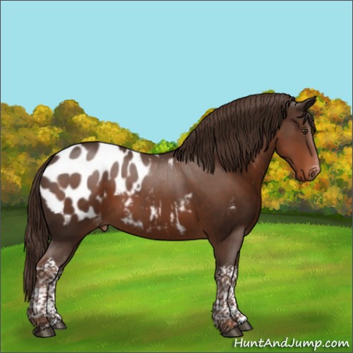 Horse Color:Liver Chestnut Tobiano Blanket 
