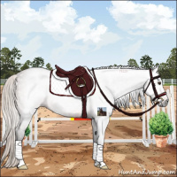 Horse Color:Gray Silver Brown 