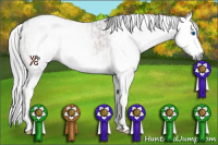 Horse Color:Gray Brown Sabino Splash Rabicano  and Gray Brown Sabino Splash Rabicano 