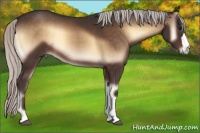 Horse Color:Silver Brown Onyx