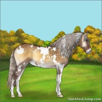 Horse Color:White Spotted Silver Buckskin Onyx 