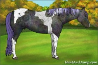 Horse Color:Painted Midnight Liver Chestnut Ice Tobiano 