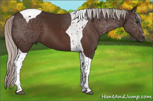 Horse Color:Silver Brown Tobiano 