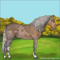 Horse Color:Silver Bay Ice 