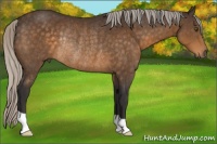 Horse Color:Silver Buckskin Rabicano