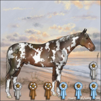 Horse Color:White Spotted Liver Chestnut 