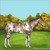 Horse Color:White Spotted Black Pearl 
