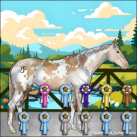 Horse Color:White Spotted Liver Chestnut Pearl 