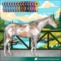 Horse Color:White Spotted Liver Chestnut Pearl 
