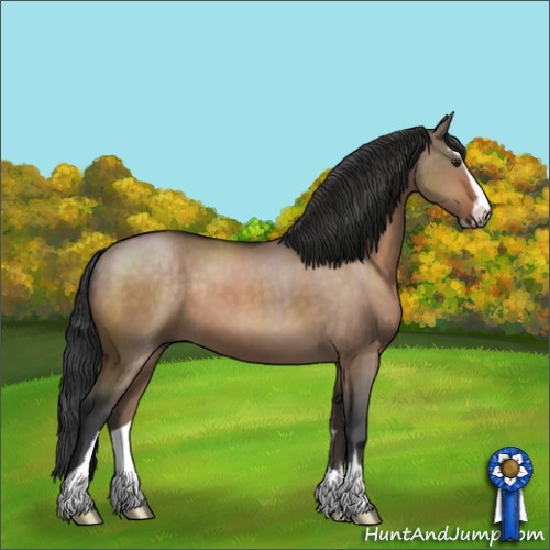 Horse Color:Brown Dun Sabino
