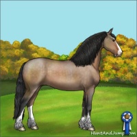 Horse Color:Brown Dun Sabino 