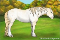 Horse Color:Buckskin Roan Pearl  and Buckskin Roan Pearl Frame 