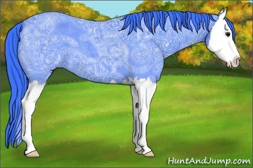 Horse Color:Watercolor Blue Ice Roan Splash 